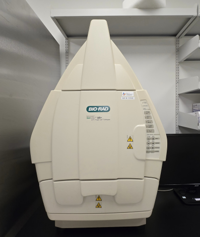 Bio-Rad Gel Doc XR+ Gel Imaging System