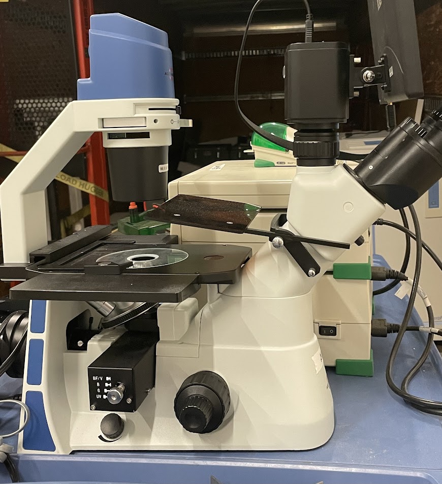 Accu-Scope EXI-310 Inverted Phase Contrast Microscope