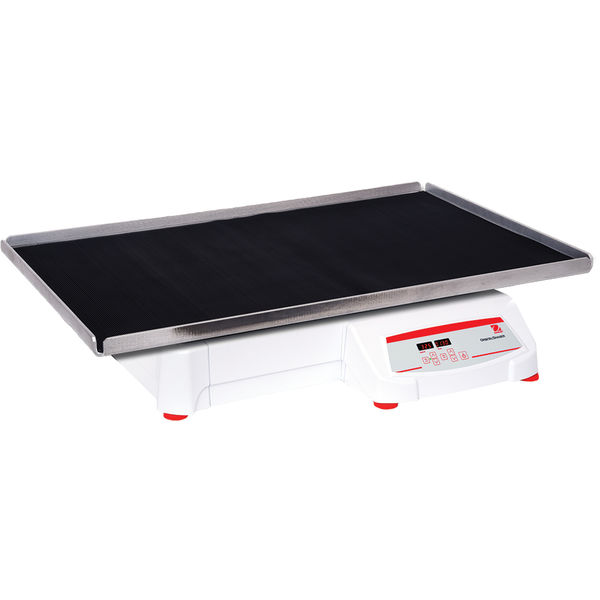 Ohaus Heavy Duty, SHHD6825DG, US (30391877) *NEW* Orbital Shaker