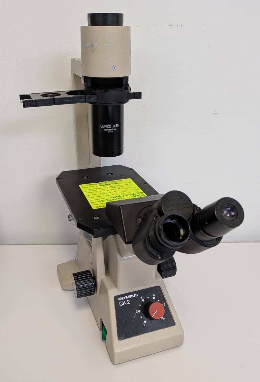 Olympus CK2 Inverted Phase Contrast Microscope