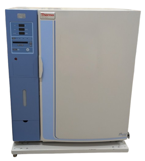 Thermo Fisher Scientific 3307 CO2 Incubator