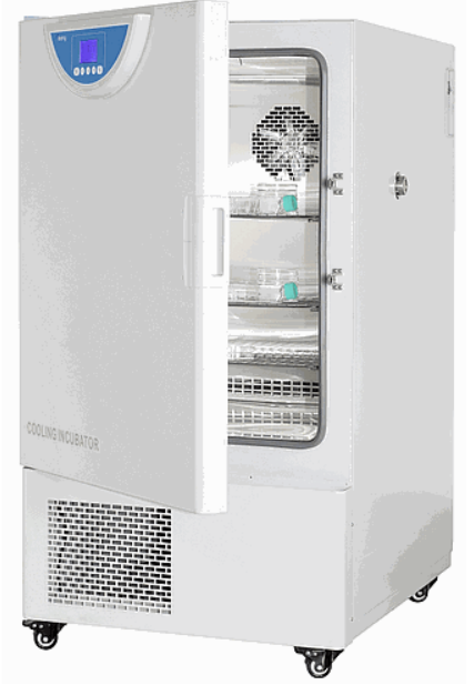 Being Scientific BIC-120C Cooling Incubator