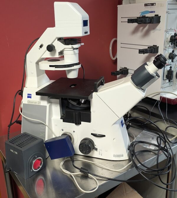 Zeiss Observer D1 Inverted Fluorescence Microscope