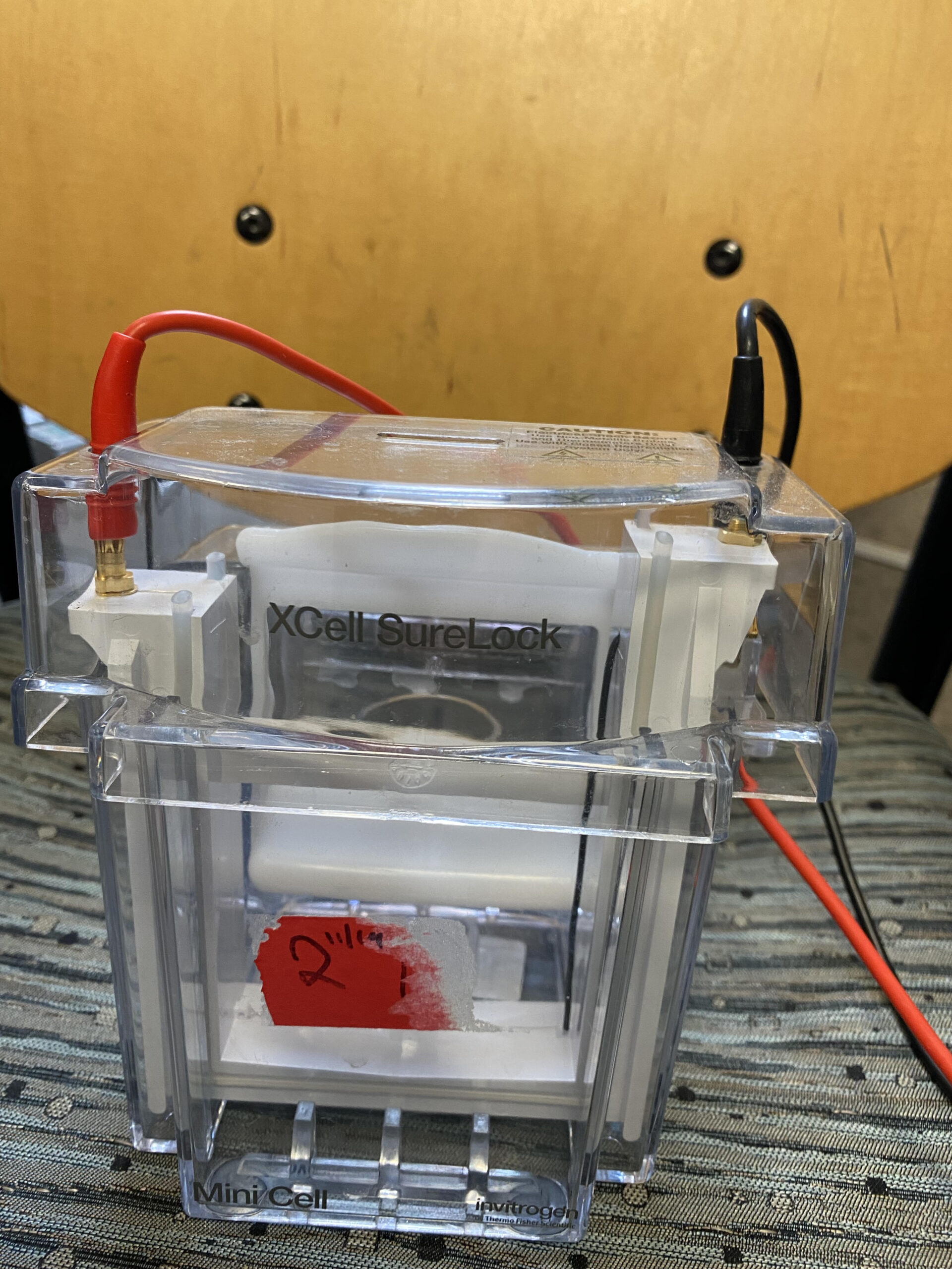 Novex Xcell Sure Lock Electrophoresis cell
